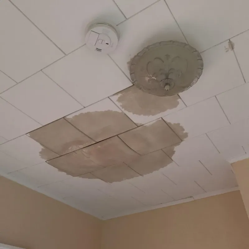 Ceiling Water Damage Repair in Clinton, CT