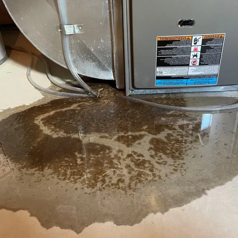 Pipe Burst and Leak Restoration in Clinton, CT